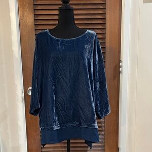 Soft Surroundings Robins Egg Blue Velvet Blouse